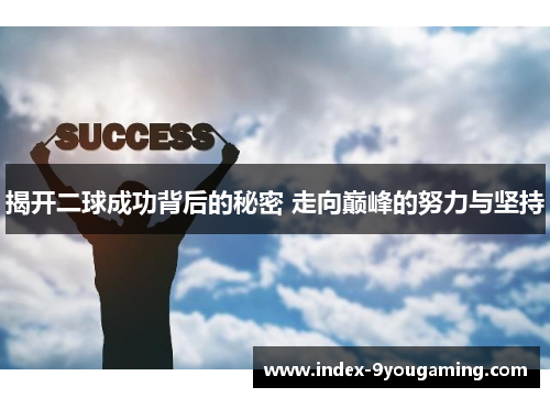 揭开二球成功背后的秘密 走向巅峰的努力与坚持