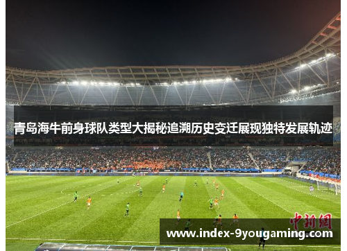 青岛海牛前身球队类型大揭秘追溯历史变迁展现独特发展轨迹