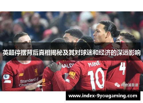 英超停摆背后真相揭秘及其对球迷和经济的深远影响